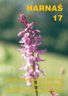 h17_okladka h17_okladka